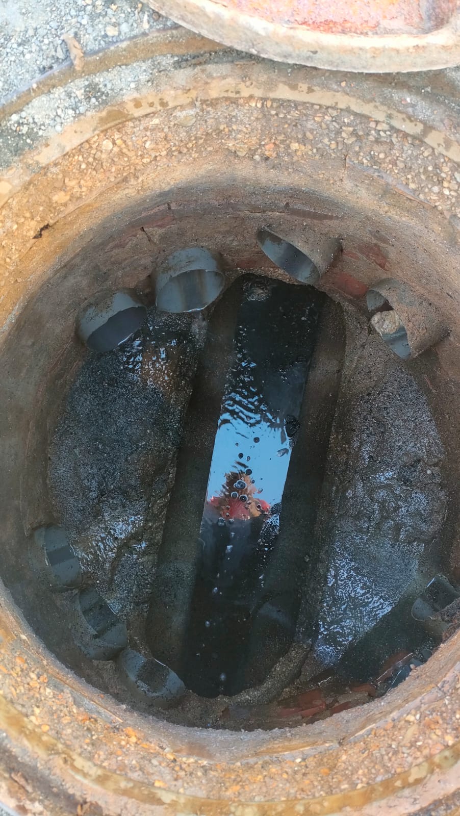 WhatsApp Image 2023-02-21 at 16.58.23 (2)